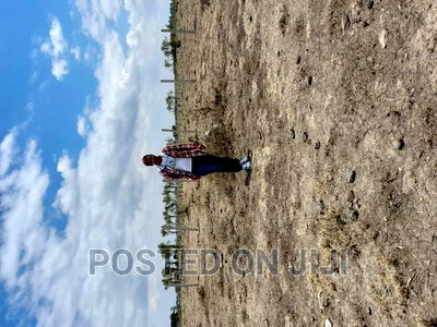 Plots Along Thika Road - Image 2