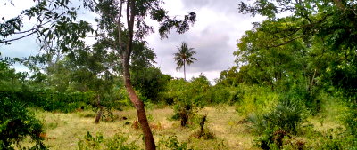 1-Acre Freehold Land Near Gede Ruins