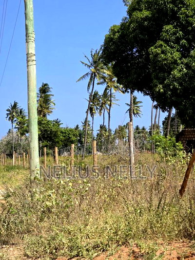 Plots for Sale Kilifi Tezo - Image 4