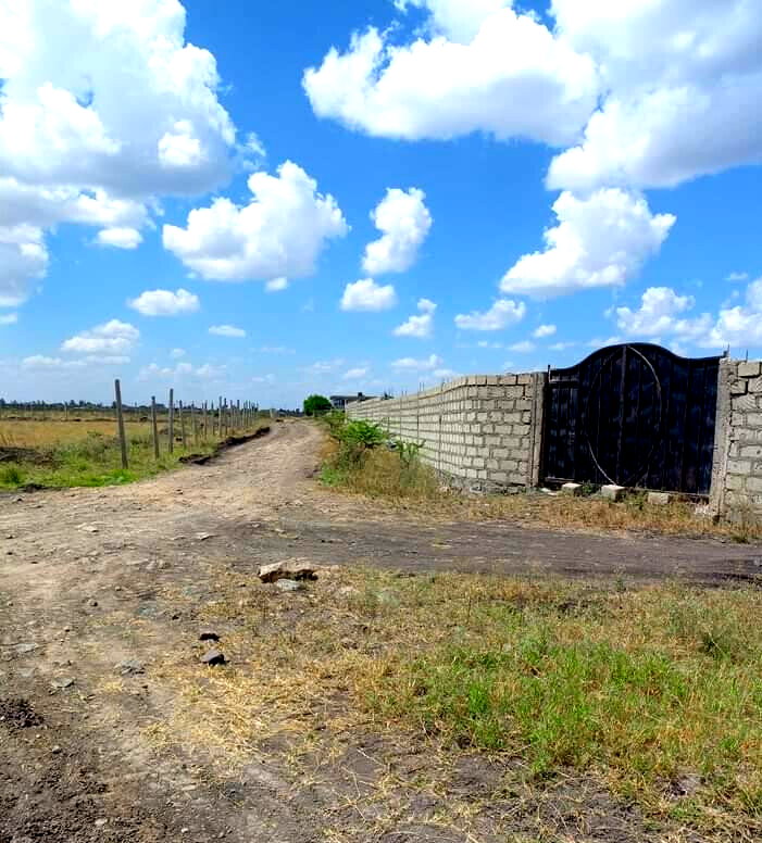 2.5M Plot in Syokimau