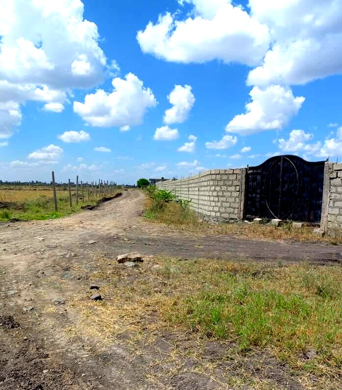 2.5M Plot in Syokimau