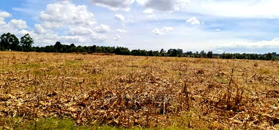 Several 1/4 Plots for Sale Marura Eldoret in Gated Community - Image 6