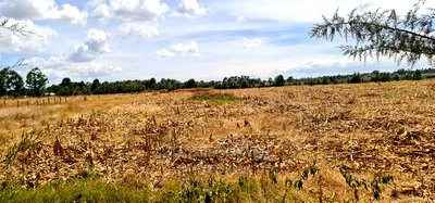 Several 1/4 Plots for Sale Marura Eldoret in Gated Community - Image 7