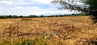 Several 1/4 Plots for Sale Marura Eldoret in Gated Community - Image 8