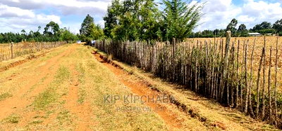 Several 1/4 Plots for Sale Marura Eldoret in Gated Community - Image 2