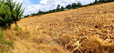 Several 1/4 Plots for Sale Marura Eldoret in Gated Community - Image 5