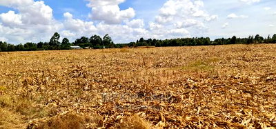 Several 1/4 Plots for Sale Marura Eldoret in Gated Community - Image 1