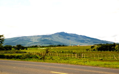50x100 Plot with Garden for KSh 429K