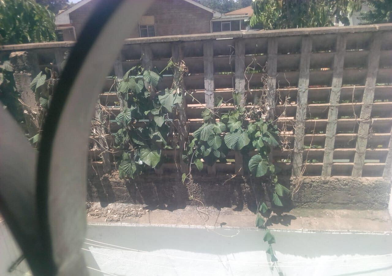 Pet Friendly 4BR at KSh 90K