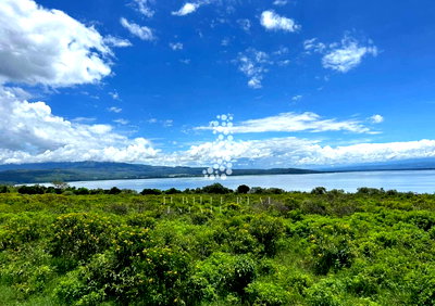 21.1-Acre Lakefront Land for Sale