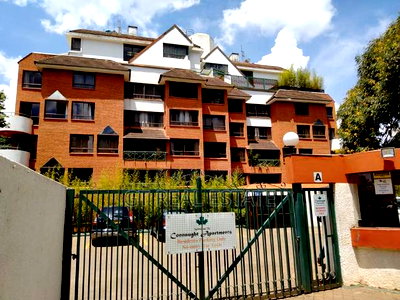 Furnished 1bdrm Apartment in Raphta Road Area for rent - Image 7