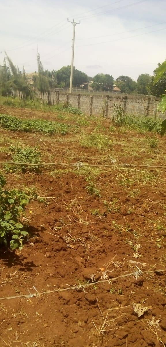 Quarter Acre Plot for KSh 15M