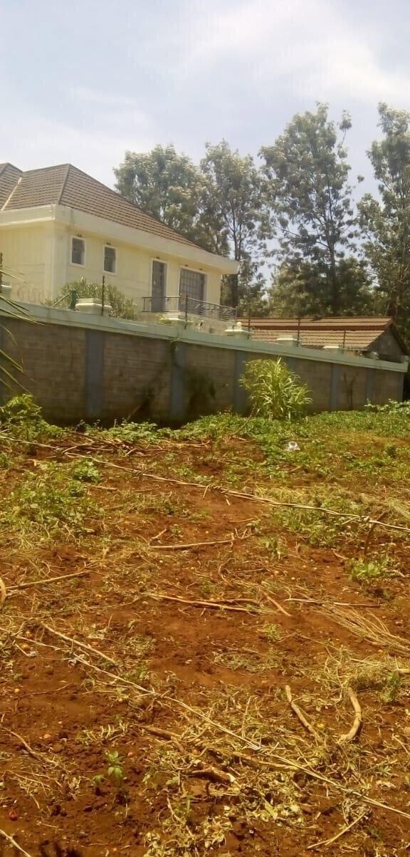 Quarter Acre Plot for KSh 15M