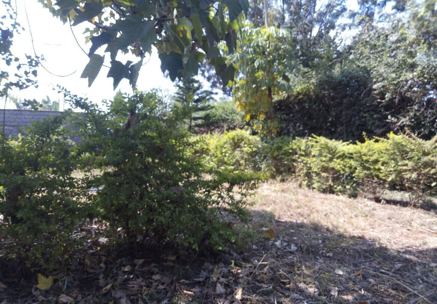 Quarter Acre Plot for KSh 15M