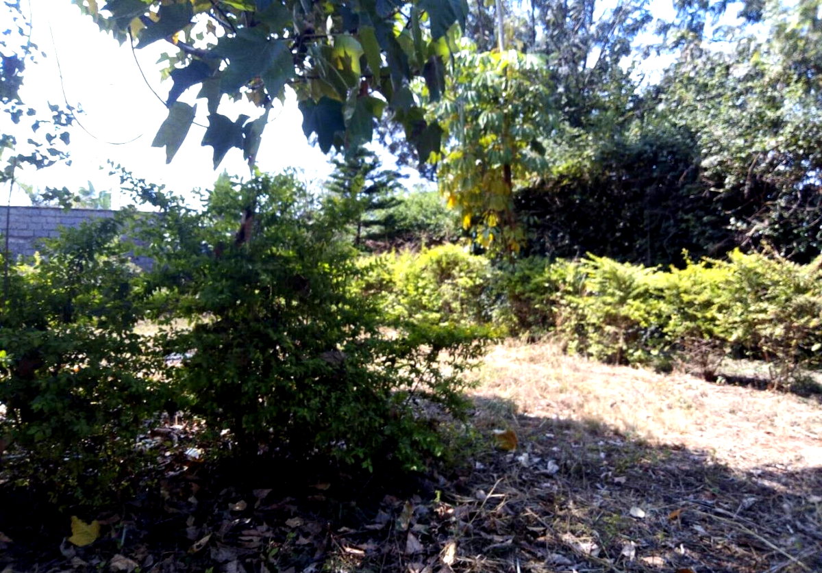 Quarter Acre Plot for KSh 15M