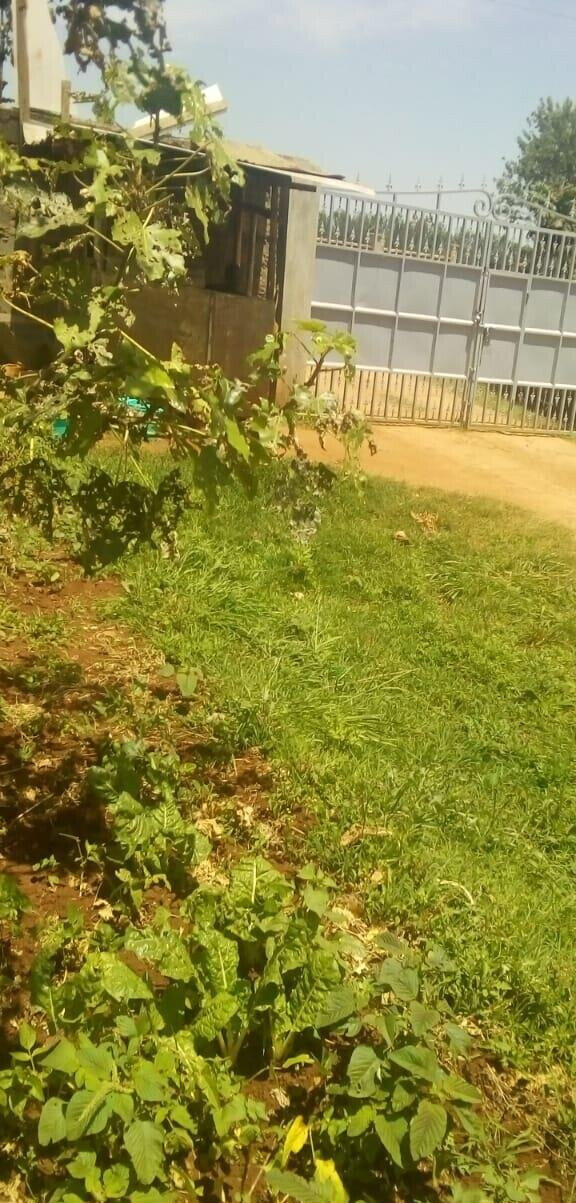 Quarter Acre Plot for KSh 15M