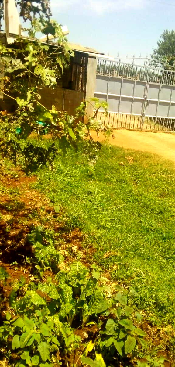 Quarter Acre Plot for KSh 15M