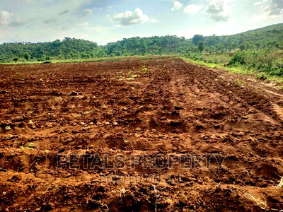 20 Acres for Sale in Molo Sirwet, Mogotio - Image 3