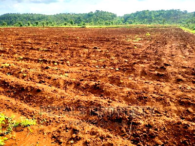 20 Acres for Sale in Molo Sirwet, Mogotio - Image 2