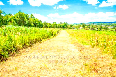 Prime Residential Plots For Sale In Gikambura, Jambu TV. - Image 8
