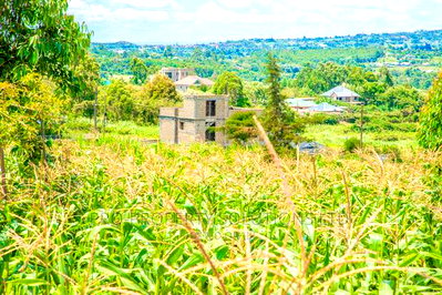 Prime Residential Plots For Sale In Gikambura, Jambu TV. - Image 10