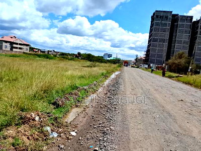 1.25 Acres Ruiru Corner a Short Distance From Kamakis - Image 2