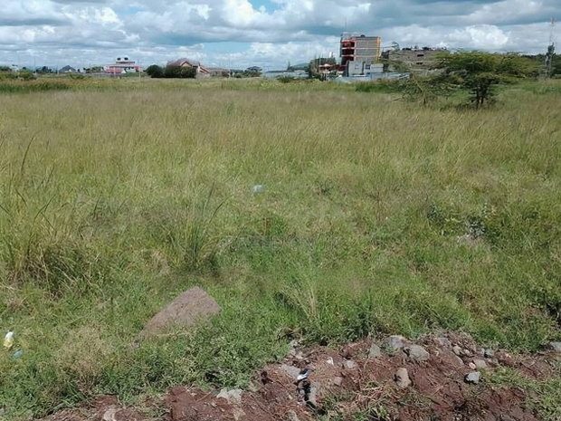 1.25 Acres Ruiru Corner a Short Distance From Kamakis