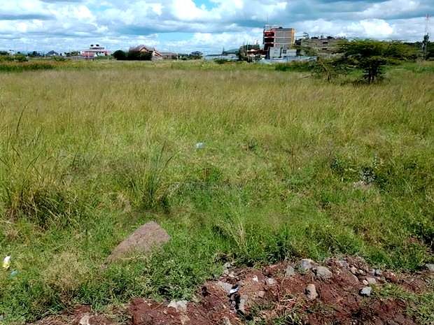 1.25 Acres Ruiru Corner a Short Distance From Kamakis