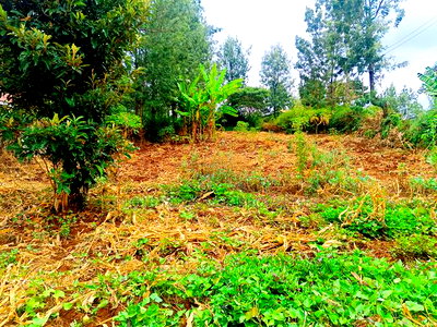 Residential Plot for Sale in Ngong, Matasia! - Image 6