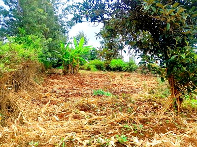 Residential Plot for Sale in Ngong, Matasia! - Image 7