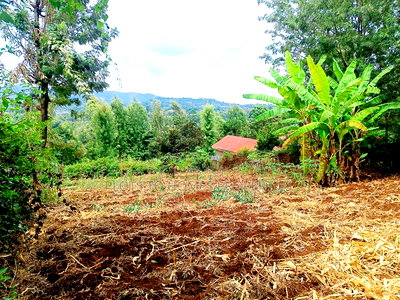 Residential Plot for Sale in Ngong, Matasia! - Image 3