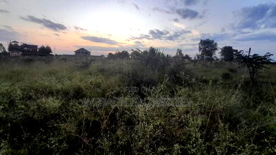 Prime 1/4 Plot Katani Along Katani Hospital Road - Image 1