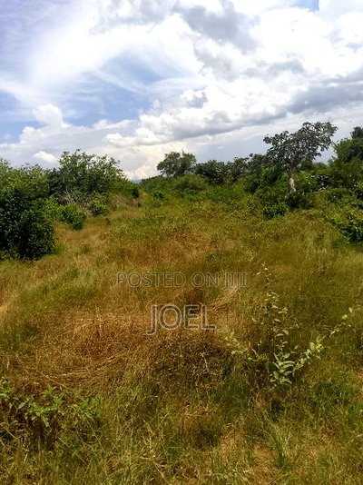 Malindi 30 Acre Land Ready Title Deed - Image 2