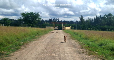 KSh 5.4M Plot in Gated Community