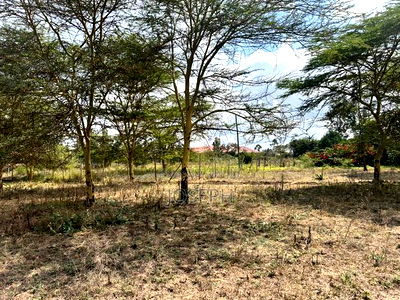 Ruai 1/4 Acres for Sale - Image 6