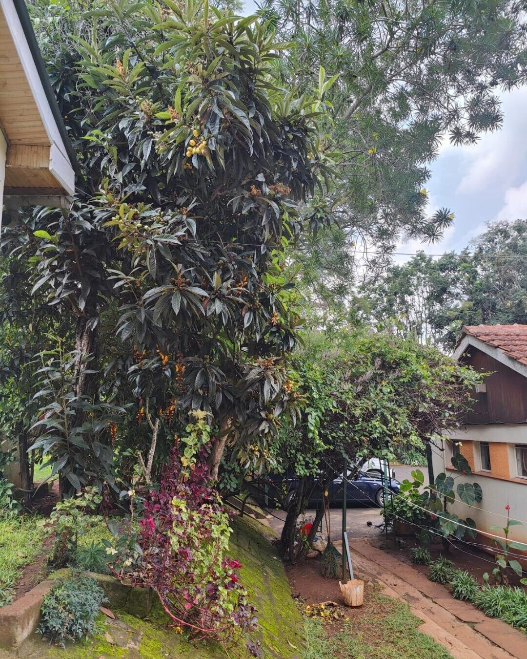 0.87 Acre Lavington Plot with Garden