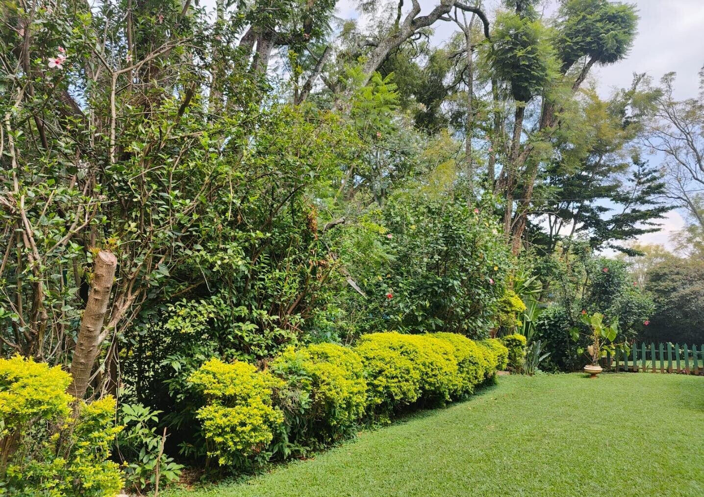 0.87 Acre Lavington Plot with Garden