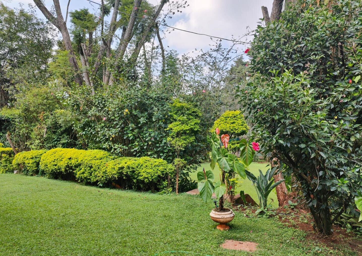 0.87 Acre Lavington Plot with Garden