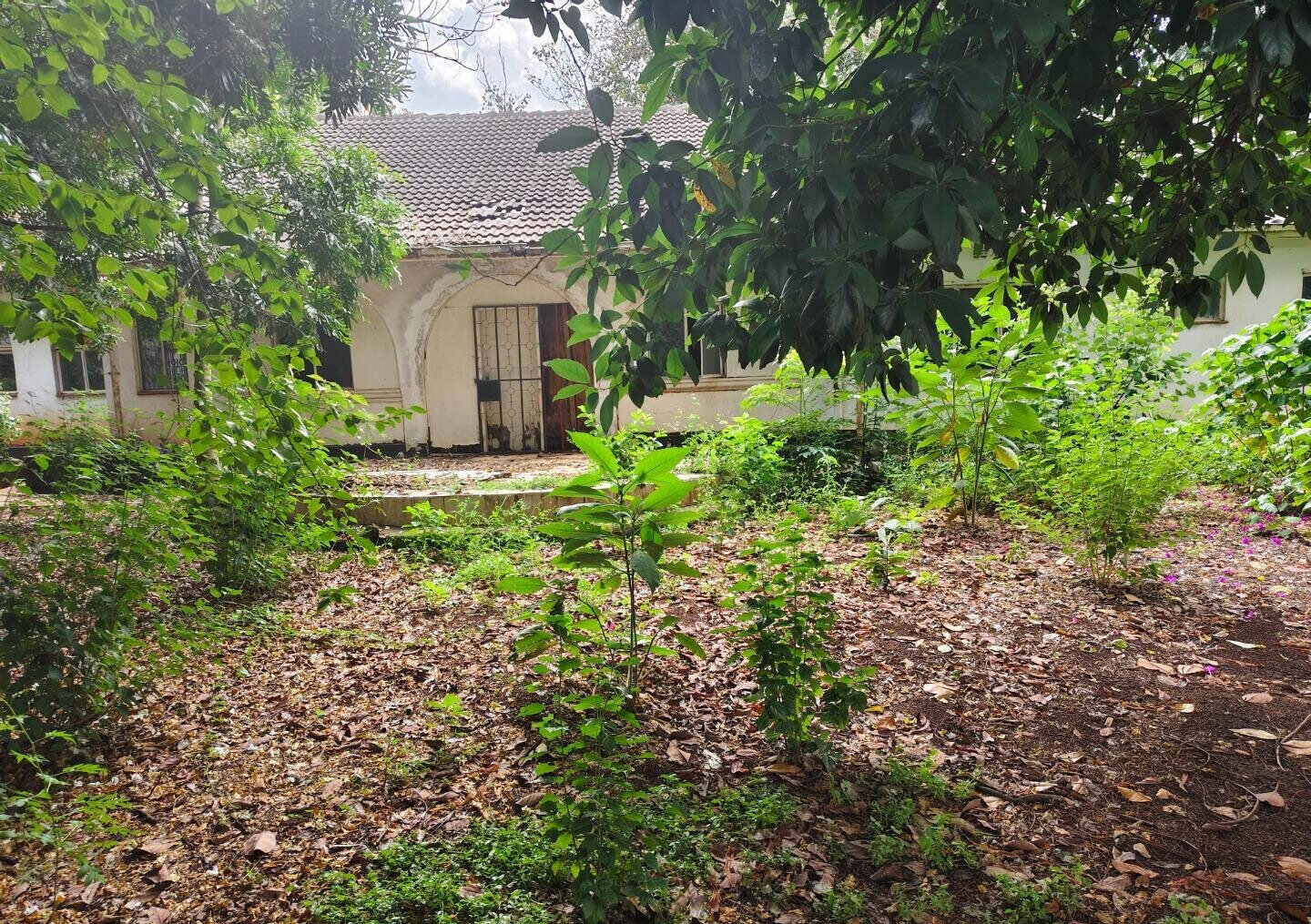 Half Acre Lavington Plot with Garden