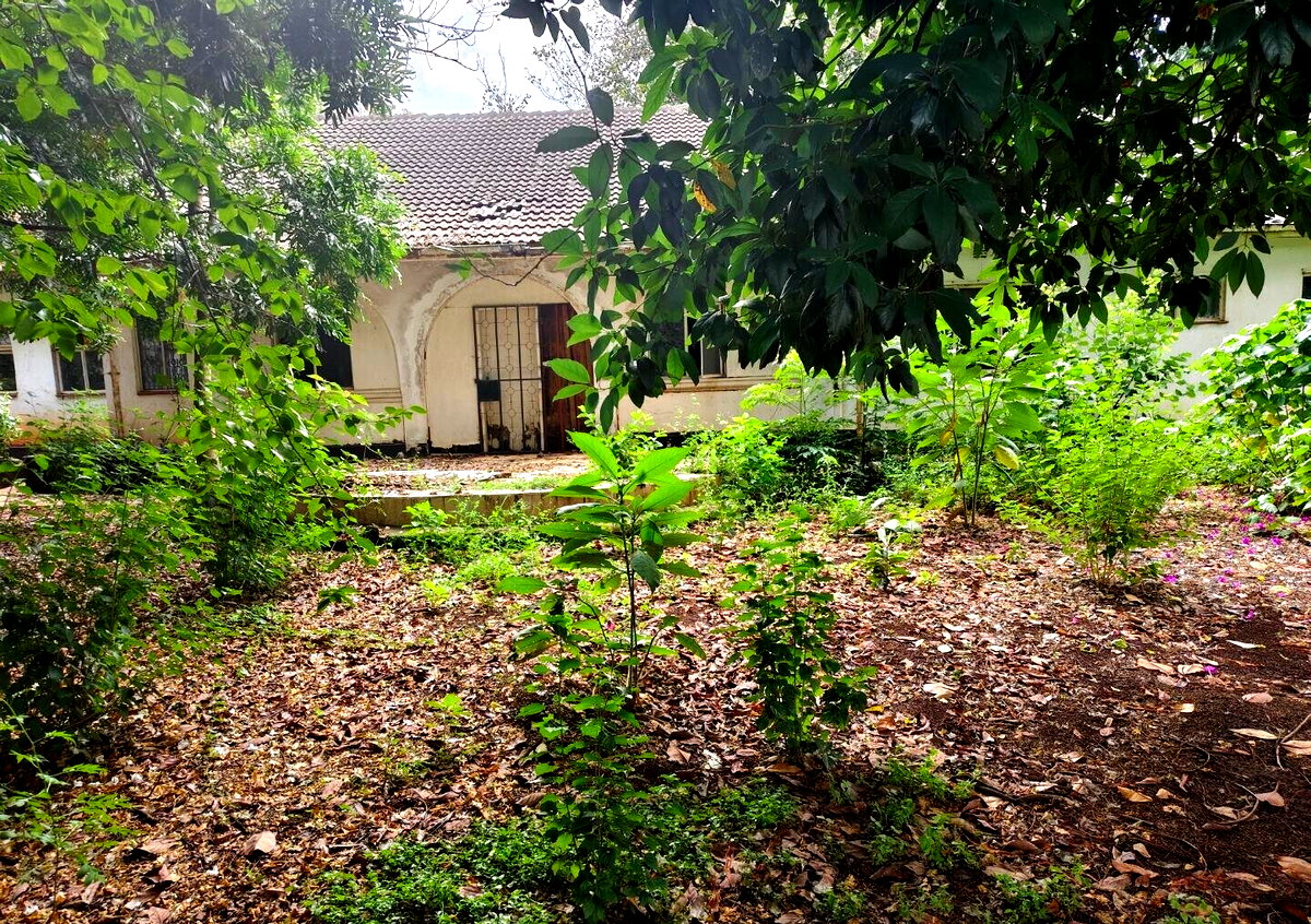 Half Acre Lavington Plot with Garden