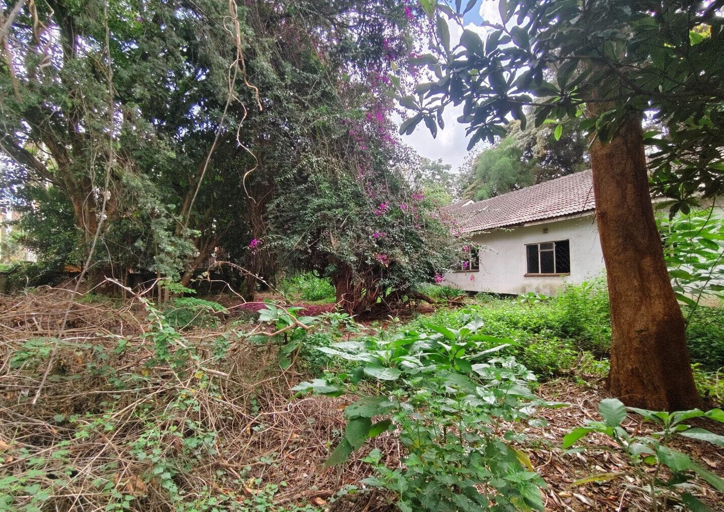 Half Acre Lavington Plot with Garden