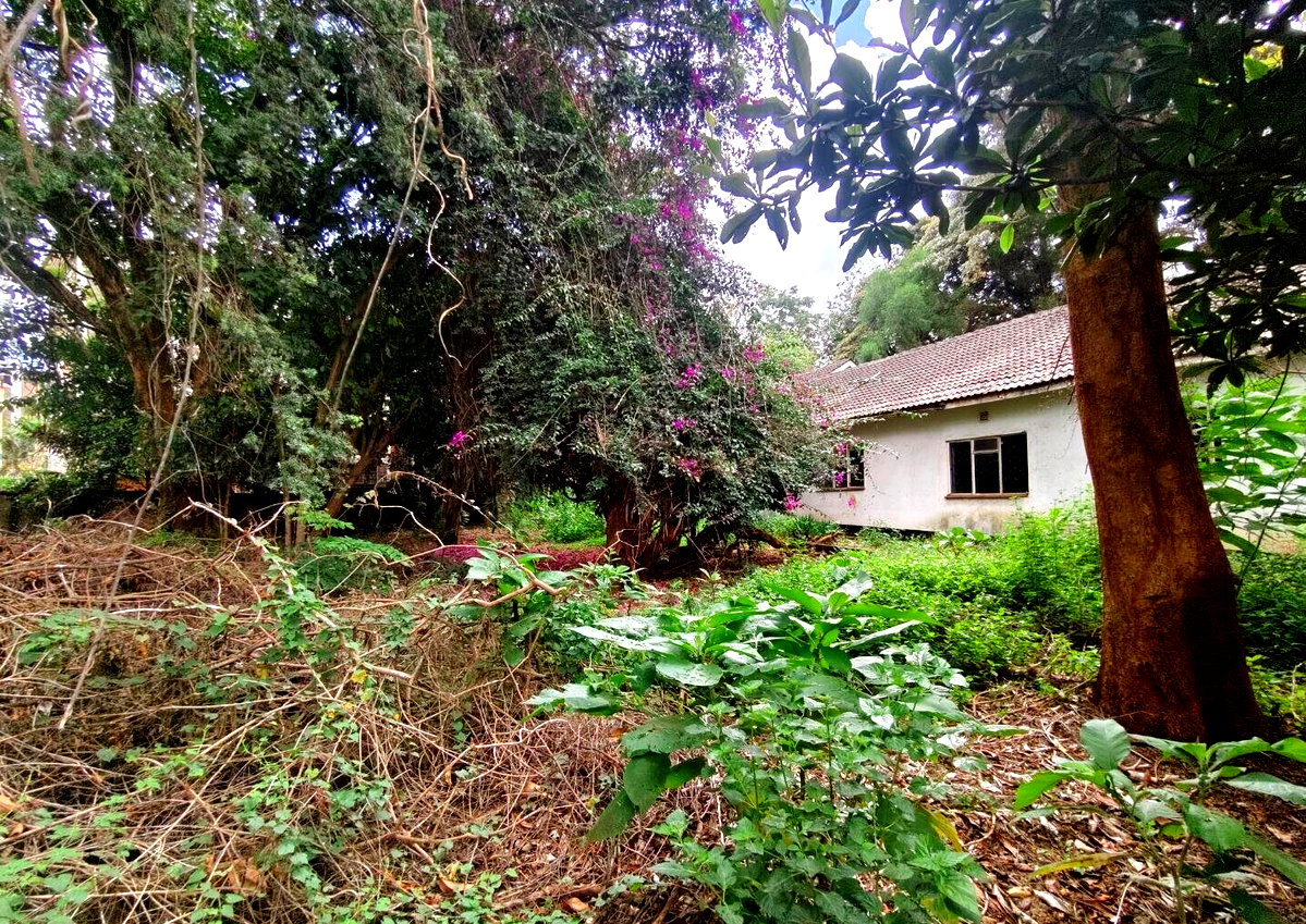 Half Acre Lavington Plot with Garden