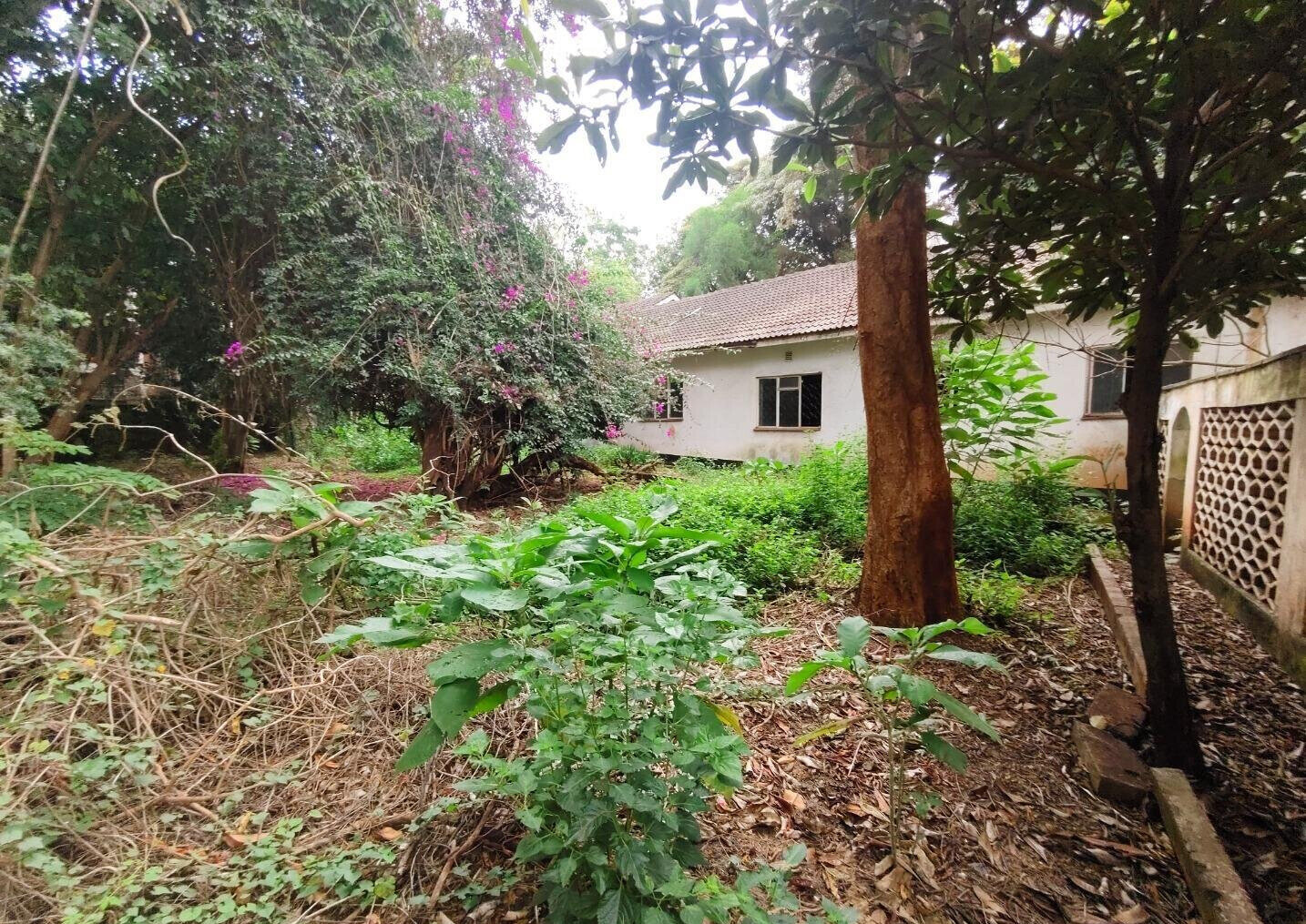 Half Acre Lavington Plot with Garden