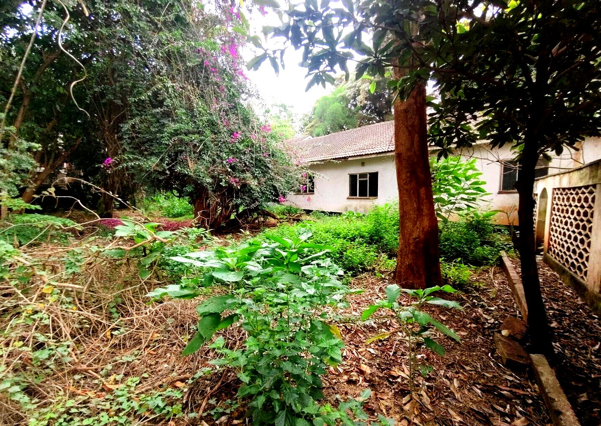 Half Acre Lavington Plot with Garden