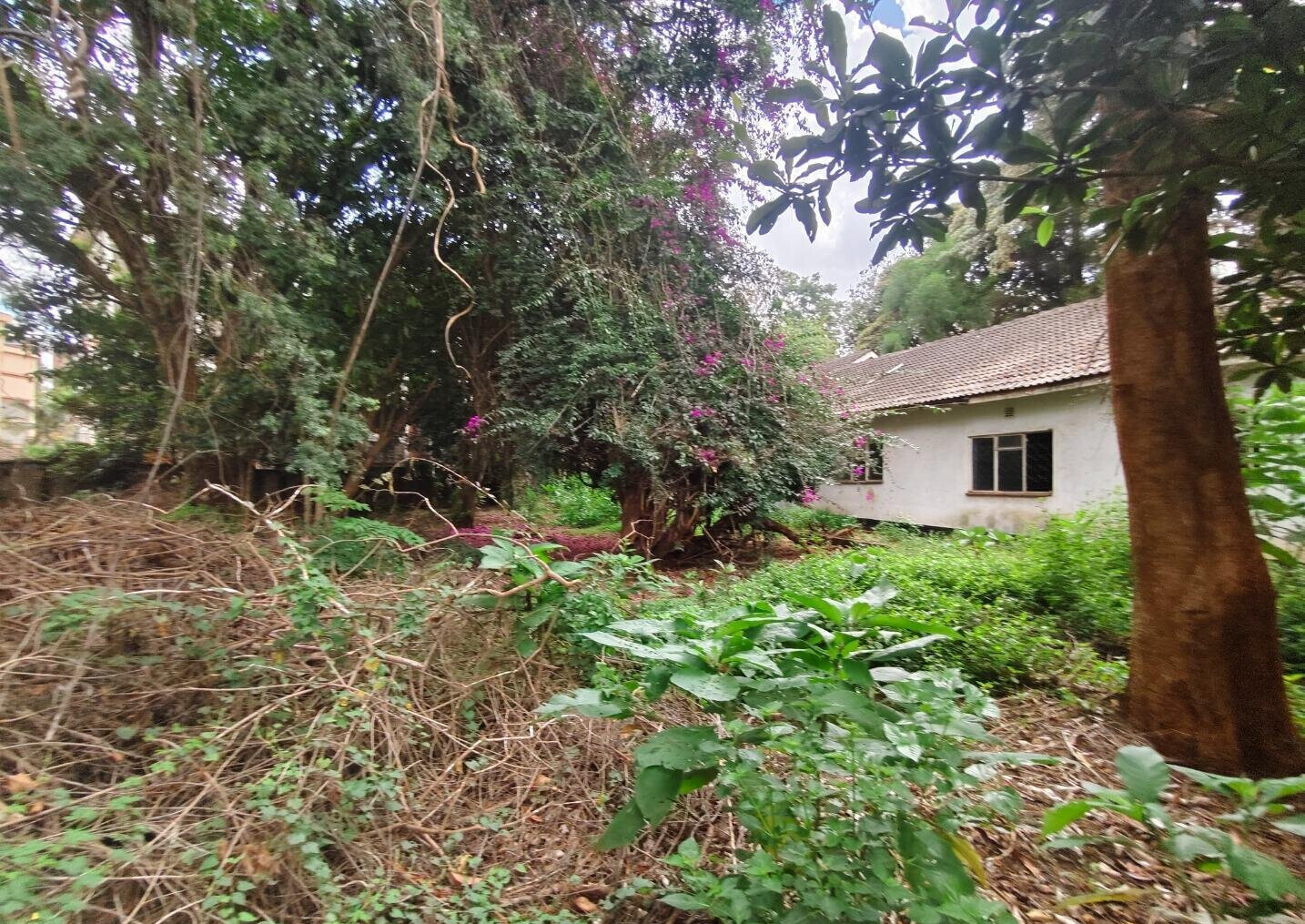 Half Acre Lavington Plot with Garden