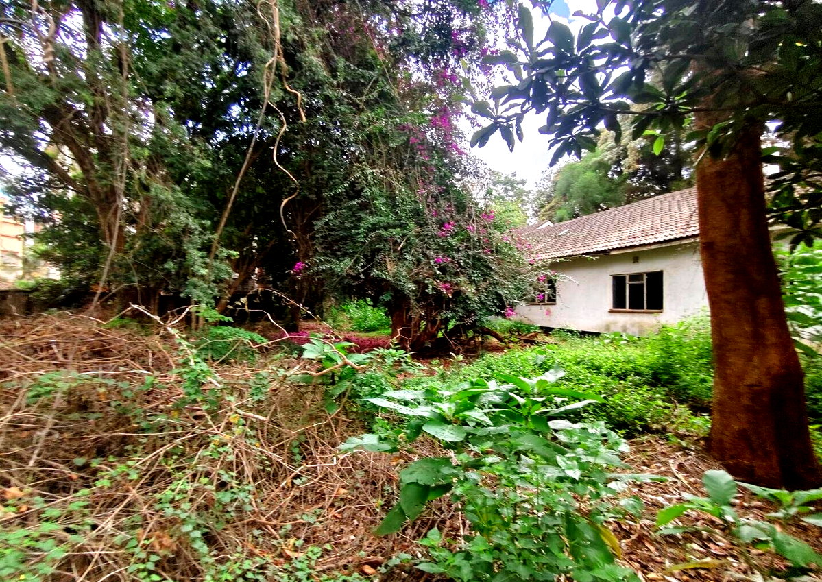 Half Acre Lavington Plot with Garden