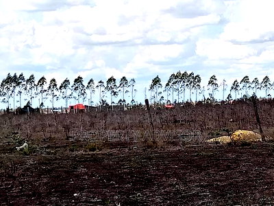 50 Acres in Isinya Land for Sale Plot - Image 3