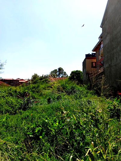 Prime Land on Sale, 1/2 Acre, Off Mirema Drive - Image 2