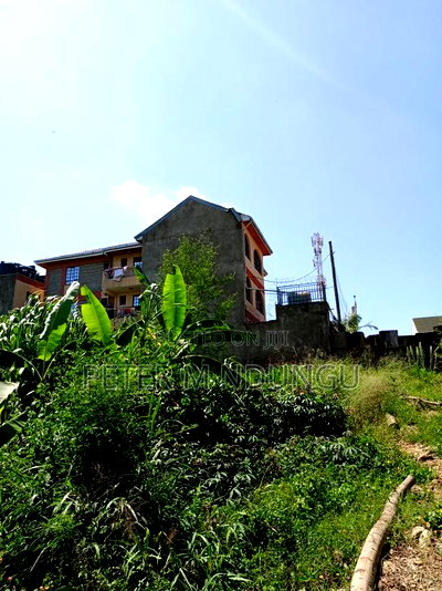 Prime Land on Sale, 1/2 Acre, Off Mirema Drive - Image 4