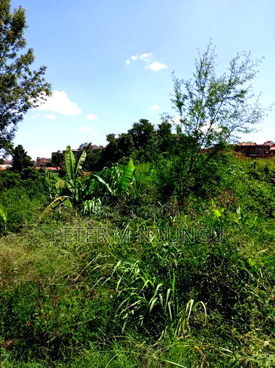 Prime Land on Sale, 1/2 Acre, Off Mirema Drive - Image 5